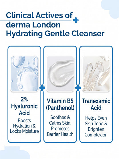 2% Hyaluronic Acid &amp; Vitamin B5 Hydrating Gentle Cleanser with Tranexamic Acid (120ml)